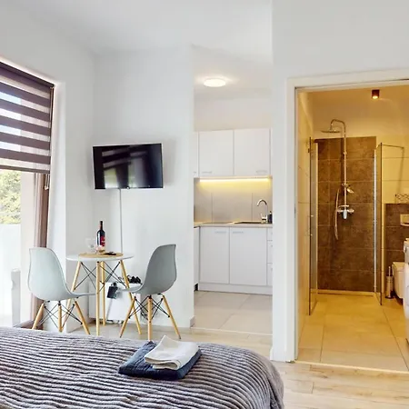 Fibra Barista Rybnik (Silesia)