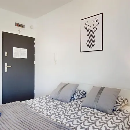 Fibra Barista * Rybnik (Silesia)