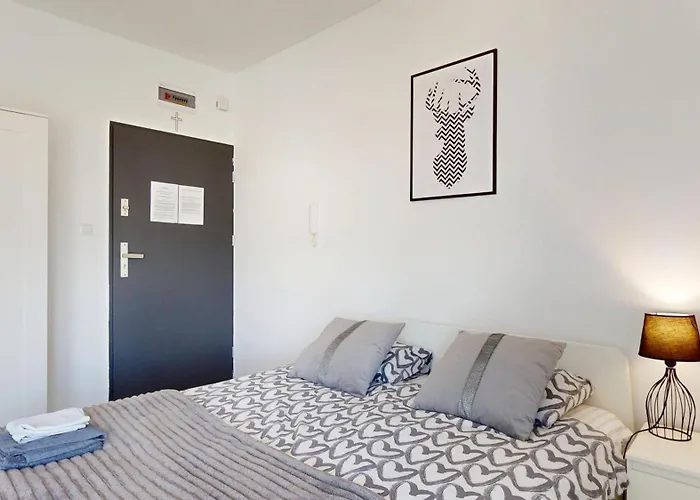 Fibra Barista * Rybnik (Silesia)