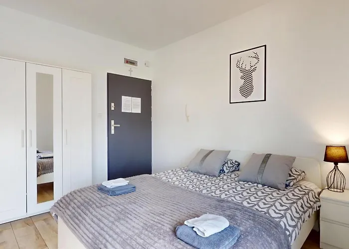 Fibra Barista * Rybnik (Silesia)