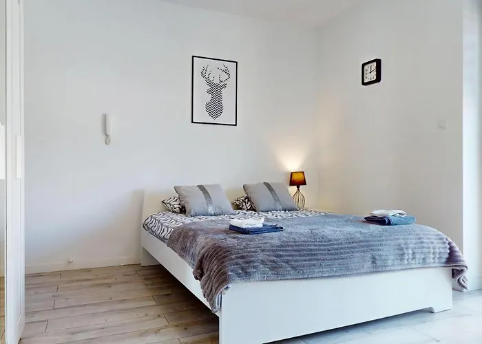 Apartmán Fibra Barista Rybnik (Silesia)